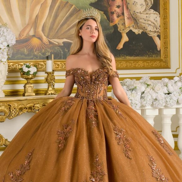 New Brown Beaded Quinceanera Tulle Dress w/ Layered Skirt & Back Bow GL3811 - Picture 8 of 15
